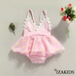 IZA-019