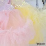 IZA-2252 - Imagen 2