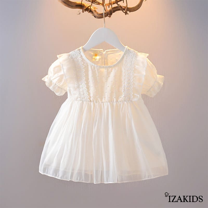 2479 IZA-2479 - Imagen 1
