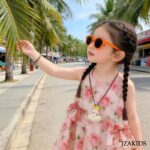 IZA-2493 - Imagen 2