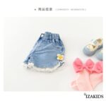 IZA-4063 - Imagen 2