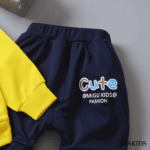 IZA-8071 - Imagen 5