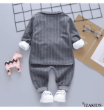 IZA-8077 - Imagen 2